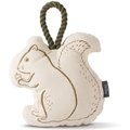 Fringe Studio Mister Squirrel Squeaky Plush Squeaky Plush Dog Toy