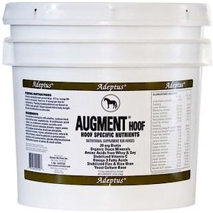 l carnitine horse supplement Acetyl L-Carnitine