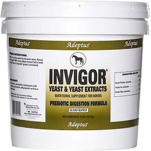 Adeptus Invigor Prebiotic Digestion Formula Powder Horse Supplement, 10-lb tub