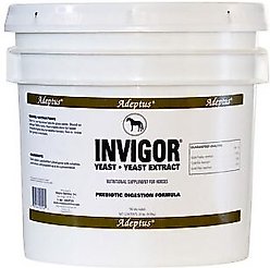 Adeptus Invigor Prebiotic Digestion Formula Powder Horse Supplement, 20-lb tub