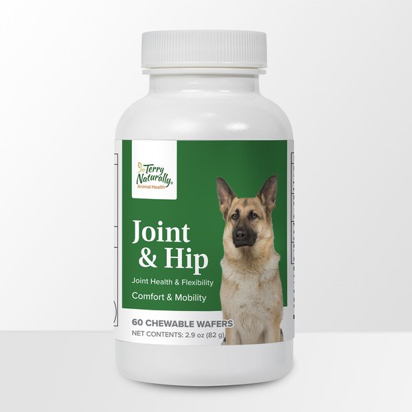 TERRY NATURALLY ANIMAL HEALTH Joint & Hip Formula Dog Supplement, 60 ...