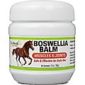 Terry Naturally Animal Health Boswellia Balm Horse Liniment, 7-oz jar