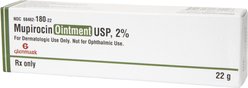 Mupirocin (Generic) Ointment 2%, 22-gm tube