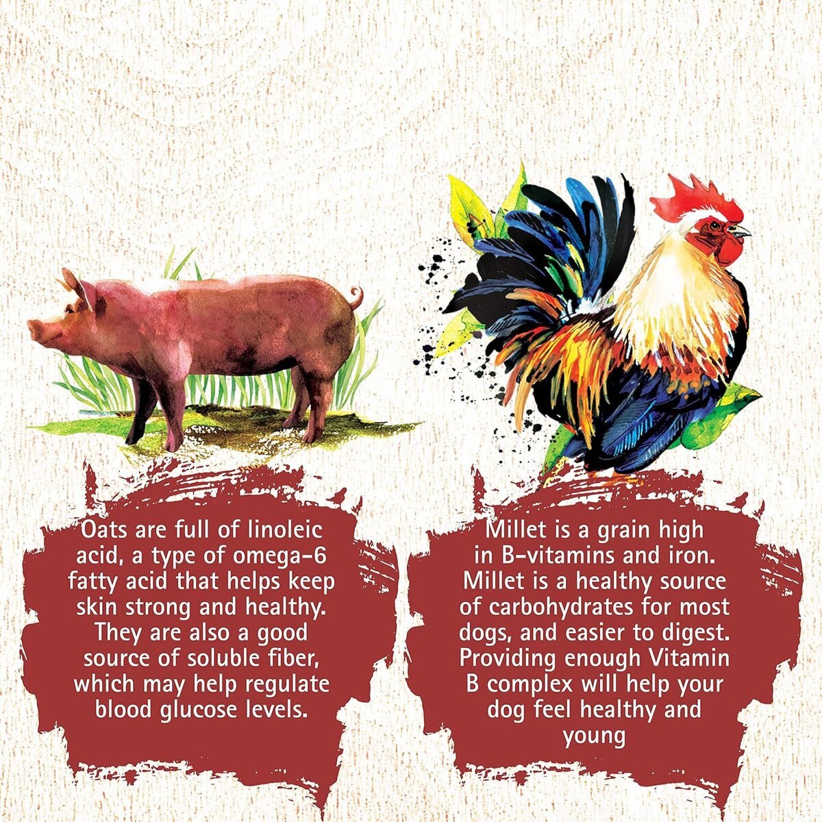 Out of Stock - INCEPTION Chicken & Pork Meal Recipe Dry Dog Food, 13.5 ...