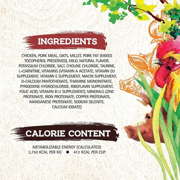 Out of Stock - INCEPTION Chicken & Pork Meal Recipe Dry Dog Food, 13.5 ...