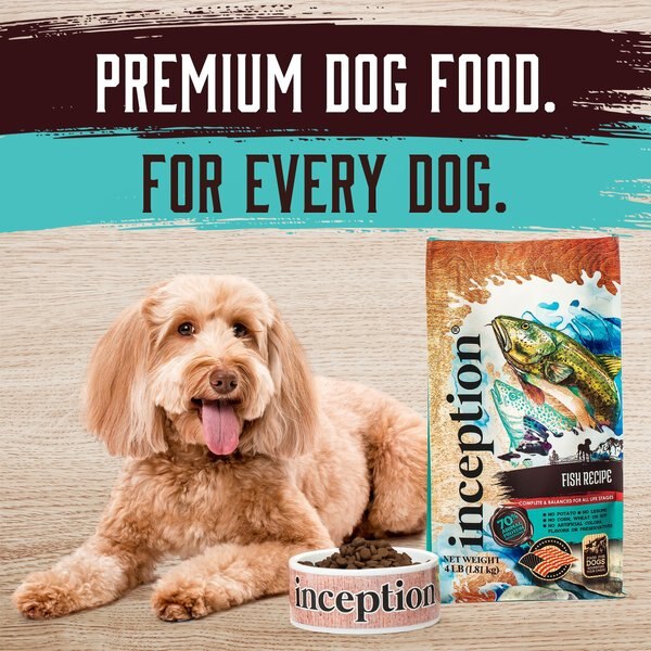 Inception Fish Recipe Biscuit Training Dog Treat, 12-oz bag