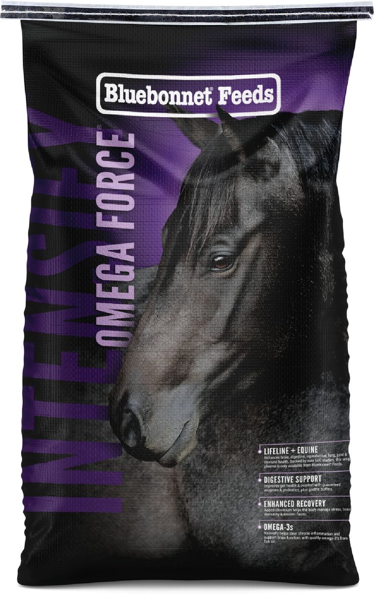 Bluebonnet Feeds Intensify Omega Force High Protein Low Starch Horse Feed