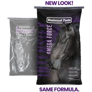 Bluebonnet Feeds Intensify Omega Force High Protein, Low Starch Horse Feed, 50-lb bag
