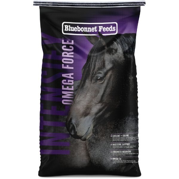 FEEDS Intensify Omega Force High Protein, Low Starch Horse