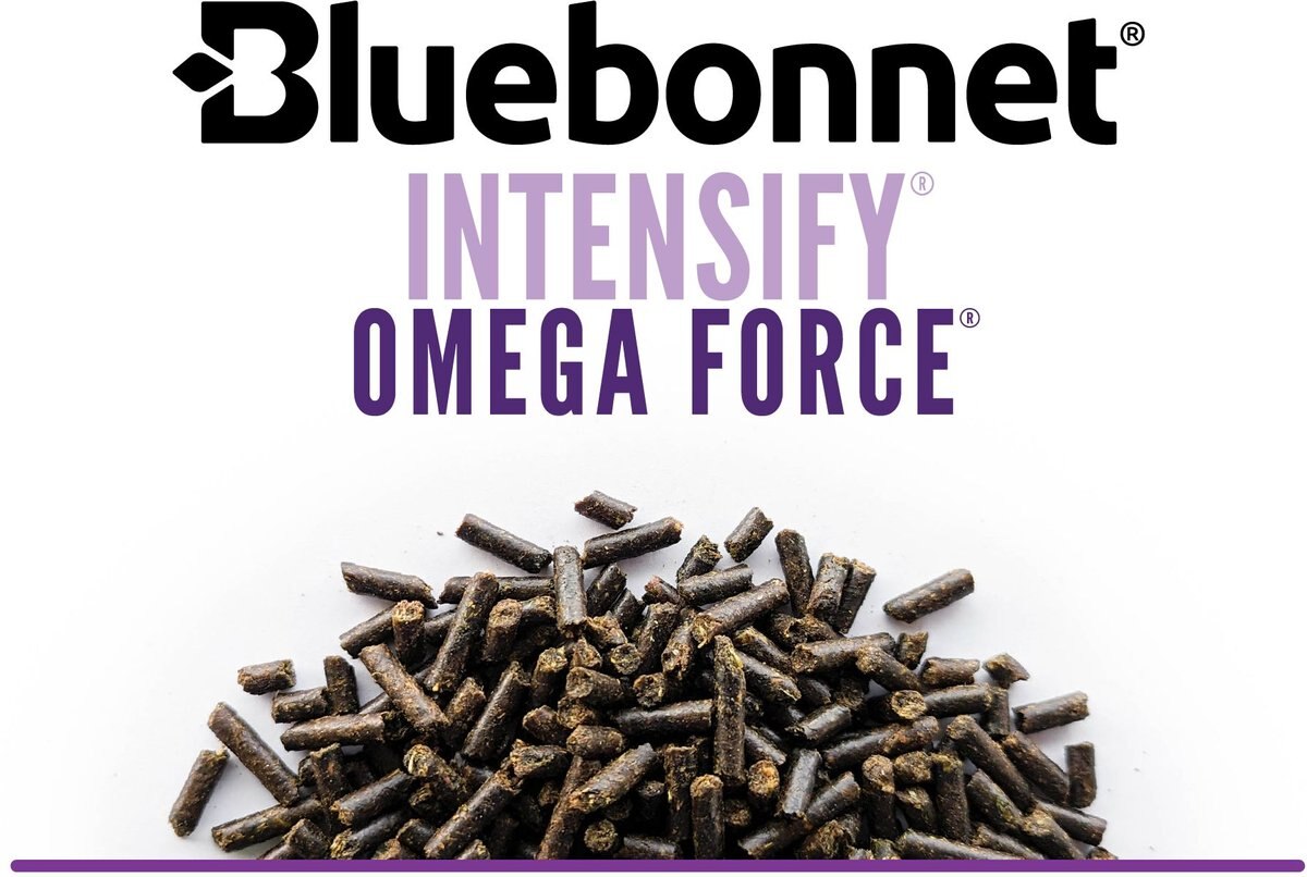 Bluebonnet Feeds Intensify Omega Force High Protein Low Starch Horse Feed