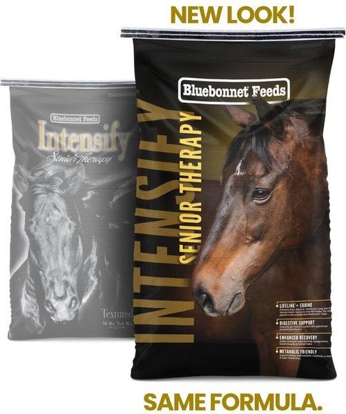Bluebonnet Feeds Intensify Senior Therapy Low Sugar, Low Starch Senior Horse Feed, 50-lb bag slide 1 of 6