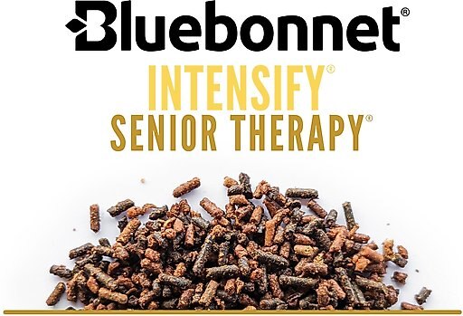 Bluebonnet Feeds Intensify Senior Therapy Low Sugar, Low Starch Senior Horse Feed, 50-lb bag