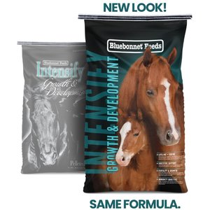 Bluebonnet Feeds Intensify Growth & Development Low Sugar, Low Starch Horse Feed, 50-lb bag