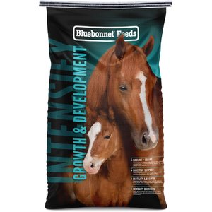 BLUEBONNET FEEDS Intensify Ex-Factor Low Sugar, Low Starch Horse Feed ...