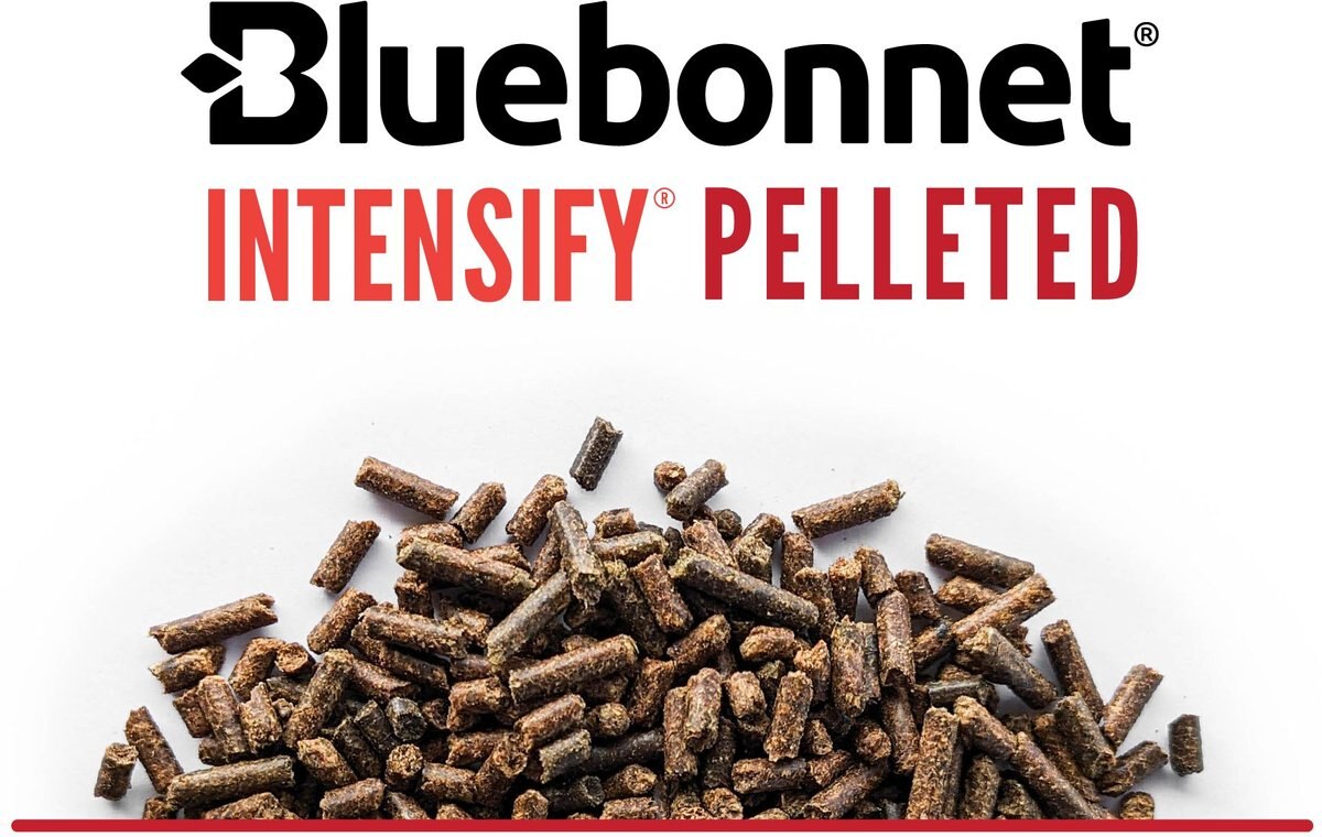 FEEDS Intensify Pelleted High Fat, Low Starch Horse Feed, 50