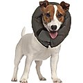 Vet Worthy Inflatable Protective Dog Collar, X-Large