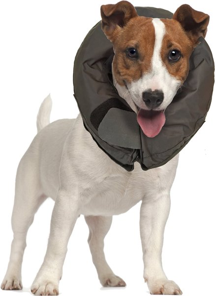 Vet Worthy Inflatable Protective Dog Collar, Large slide 1 of 3