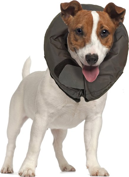Vet Worthy Inflatable Protective Dog Collar, Medium slide 1 of 3