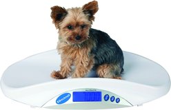 Brecknell MS15 Digital Pet Scale slide 1 of 2