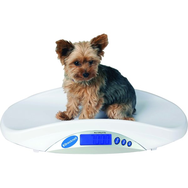 REDMON Precision Digital Pet Scale, Large 