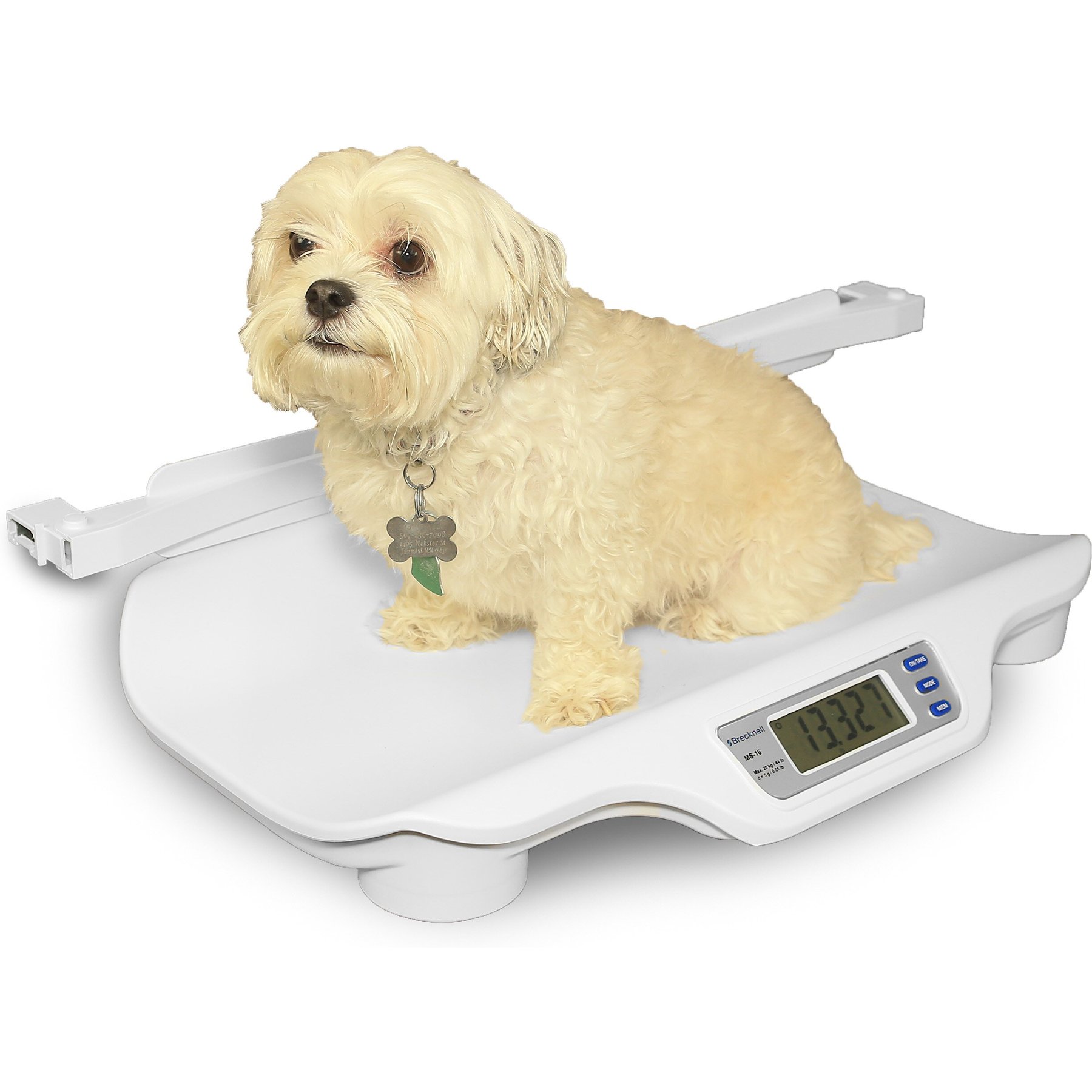 Brecknell MS-20S Veterinary Scale
