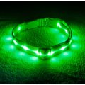 Blazin' Safety LED USB Rechargeable Nylon Dog Collar, Green, X-Small: 8.1 to 10.75-in neck, 5/8-in wide