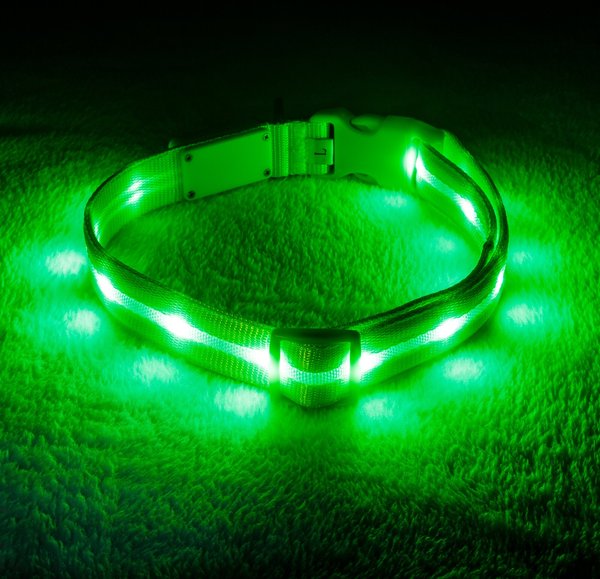 Blazin' Safety LED USB Rechargeable Nylon Dog Collar, Green, Small: 9.8 to 14.2-in neck, 5/8-in wide slide 1 of 6