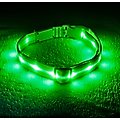 Blazin' Safety LED USB Rechargeable Nylon Dog Collar, Green, Medium: 13.8 to 19.7-in neck, 1-in wide