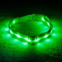 Blazin LED USB Rechargeable Nylon Dog Collar, Green, Medium: 13.8 to 19.7-in neck, 1-in wide