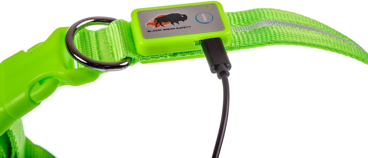 BLAZIN LED USB Rechargeable Nylon Dog Collar Green Medium 13.8