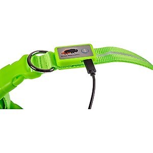 Blazin' Safety LED USB Rechargeable Nylon Dog Collar, Green, Medium: 13.8 to 19.7-in neck, 1-in wide