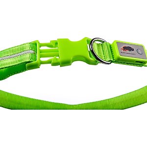 Blazin' Safety LED USB Rechargeable Nylon Dog Collar, Green, Medium: 13.8 to 19.7-in neck, 1-in wide
