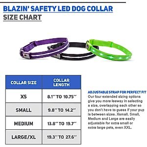 Blazin' Safety LED USB Rechargeable Nylon Dog Collar, Green, Medium: 13.8 to 19.7-in neck, 1-in wide