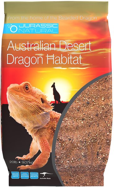 Jurassic Natural Australian Desert Dragon Sand