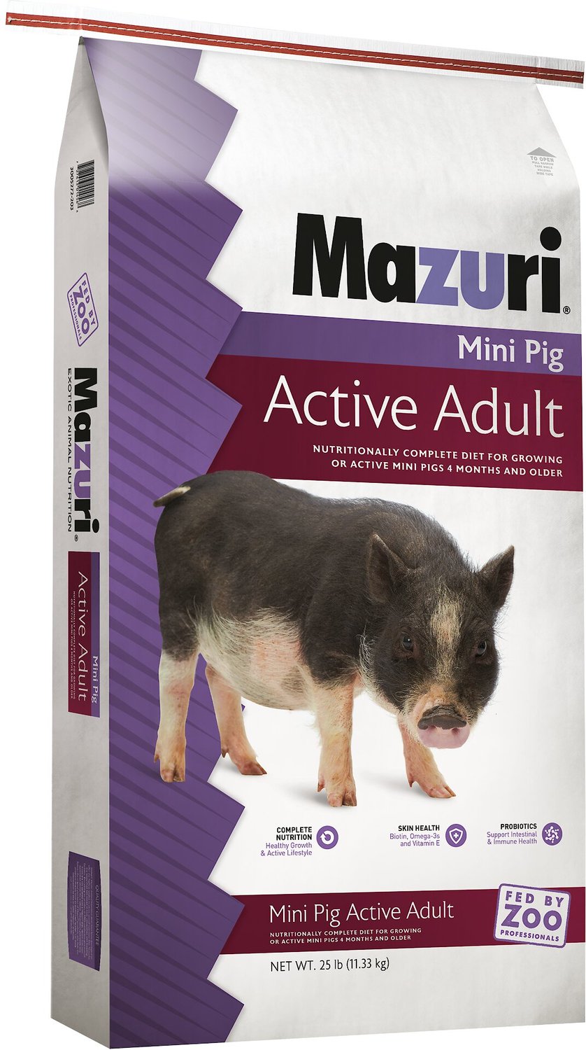 MAZURI Mini Pig Active Adult Food, 25-lb bag - Chewy.com