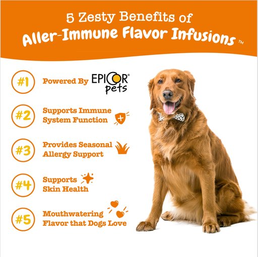 10 Best Immune System & Allergy Supplements for Dogs 2023: According to  Reviews