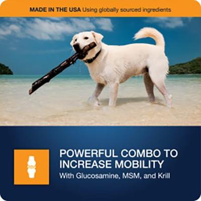 Show full view: VetIQ Maximum Strength Hip & Joint Soft Chew Joint Supplement for Dogs, 90 count slide 5 of 13