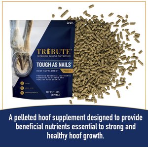 Tribute Equine Nutrition Tough As Nails Hoof Health Pellets Horse Supplement, 11-lb bag