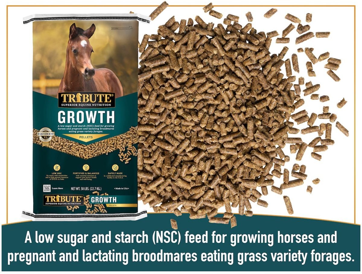 TRIBUTE EQUINE NUTRITION Growth Pellet LowNSC, MolassesFree Horse Feed, 50lb bag
