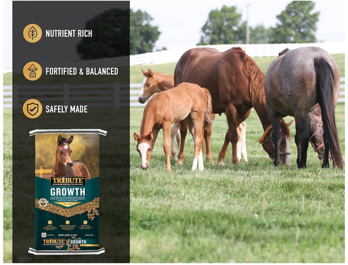 TRIBUTE EQUINE NUTRITION Growth Pellet Low-NSC, Molasses-Free Horse ...