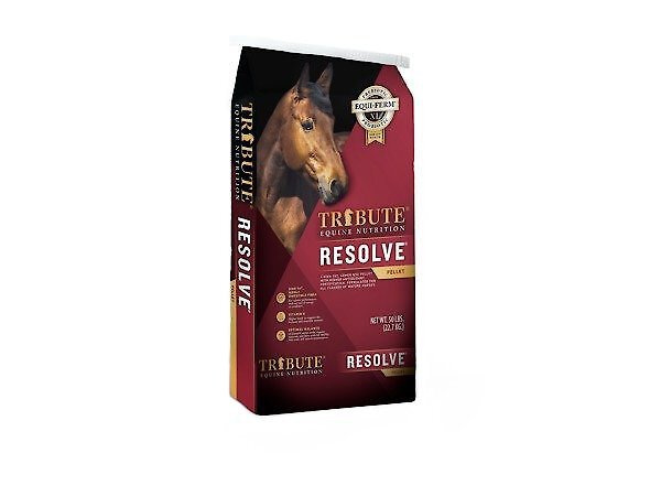 TRIBUTE EQUINE NUTRITION Resolve High Fat Horse Feed, 50-lb bag - Chewy.com