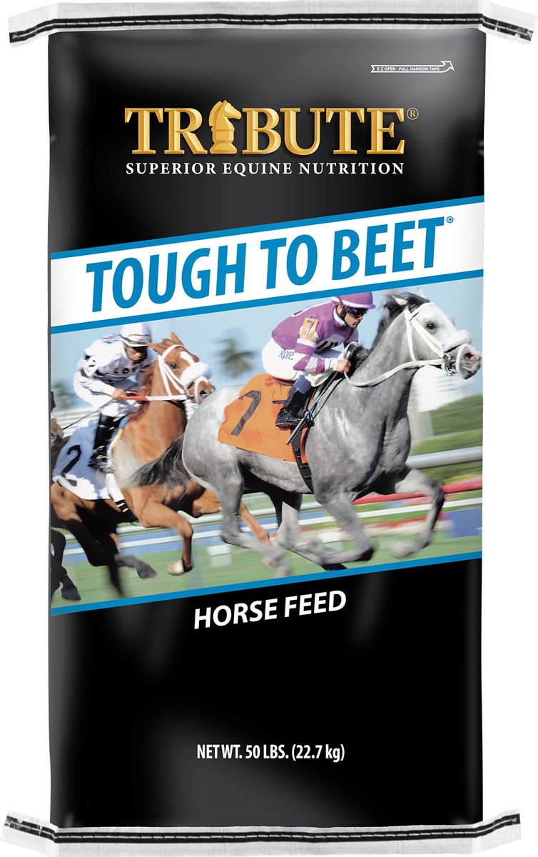 TRIBUTE EQUINE NUTRITION Tough To Beet Higher Fat Horse Feed, 50lb bag