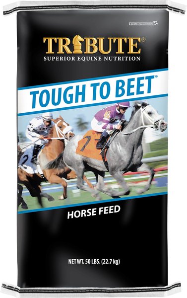 Tribute Equine Nutrition Tough To Beet Higher Fat Horse Feed, 50-lb bag slide 1 of 4