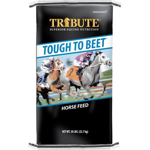 TRIBUTE EQUINE NUTRITION Tough To Beet Higher Fat Horse Feed, 50lb bag