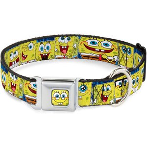 Buckle-Down SpongeBob Polyester Seatbelt Buckle Dog Collar, Small: 9 to 15-in neck, 1-in wide