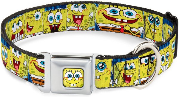 Buckle-Down SpongeBob Polyester Seatbelt Buckle Dog Collar, Medium: 11 to 17-in neck, 1-in wide slide 1 of 10