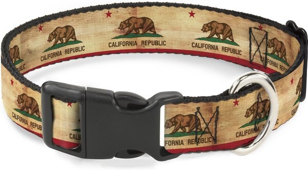 Buckle-Down State Plastic Clip Polyester Dog Collar