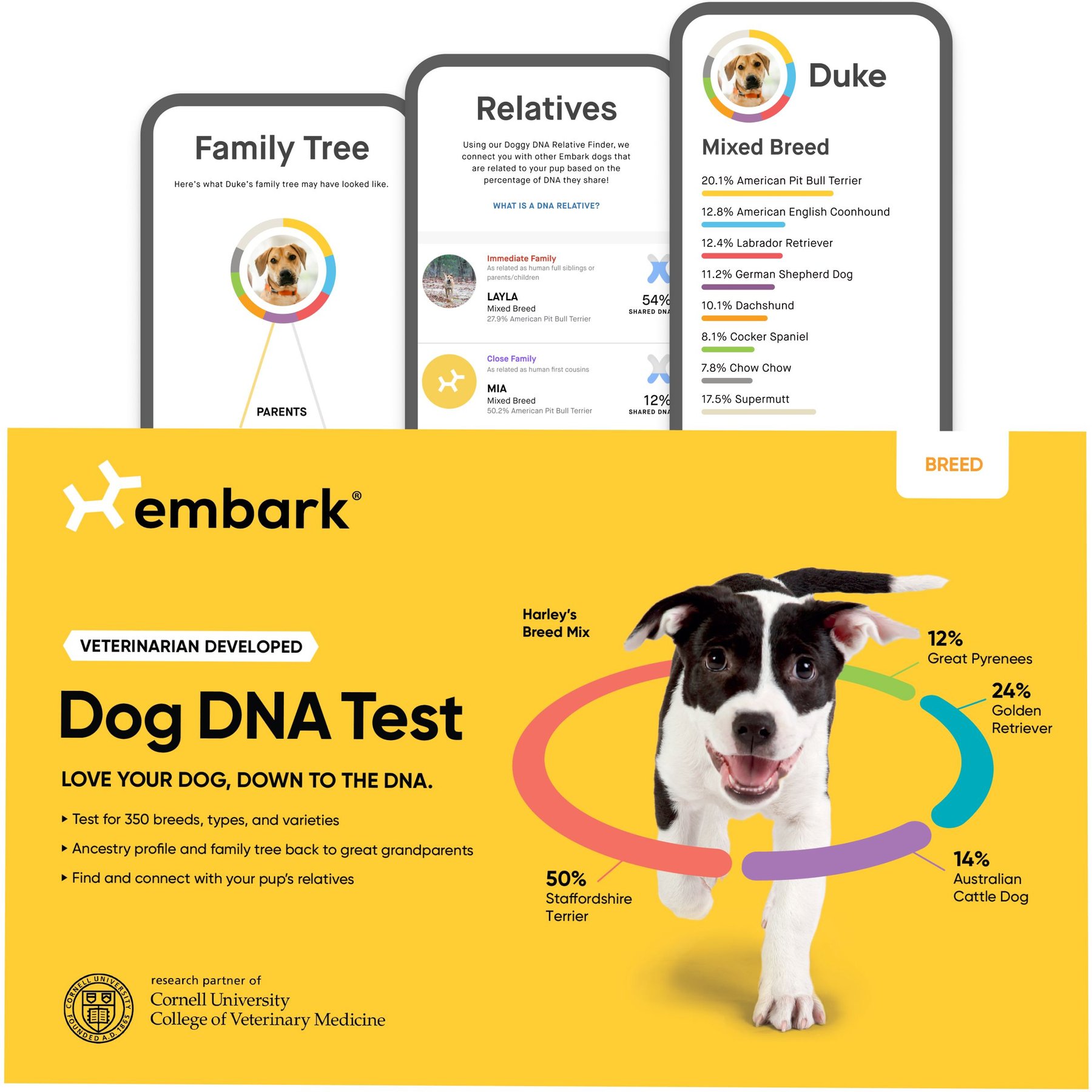 EMBARK Breed Identification & Health Condition Identification DNA Test for  Dogs 