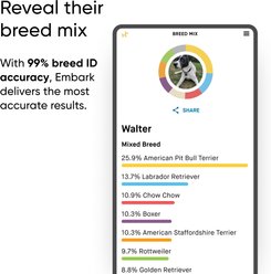 Embark Breed Identification DNA Test for Dogs slide 2 of 9