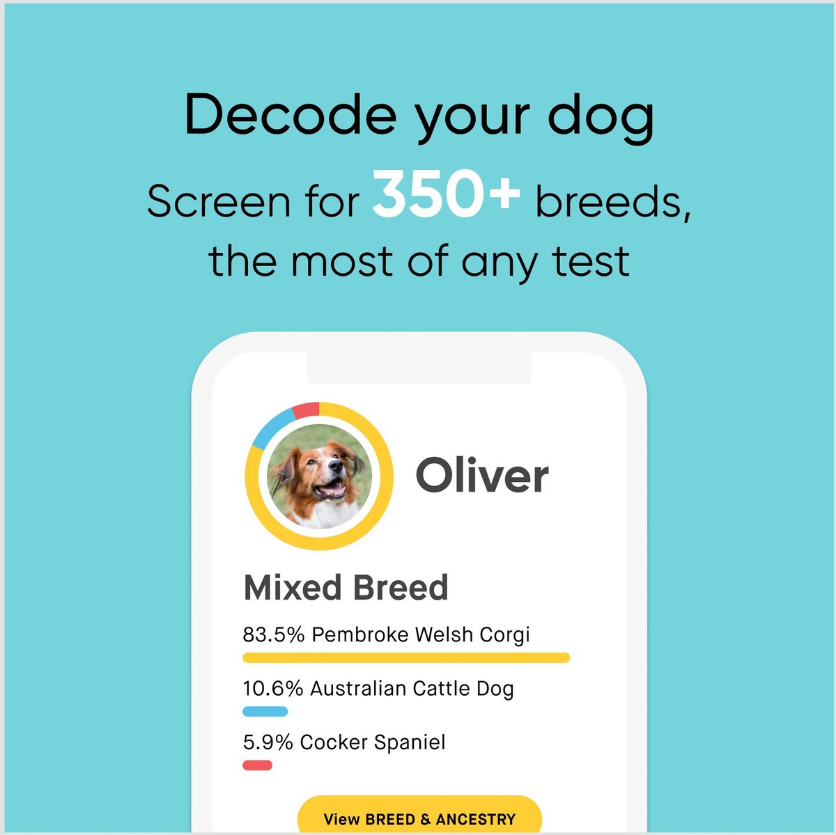 Dog Breed DNA Test That's So Fetch Atlanta Georgia